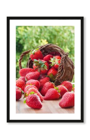 Fresh strawberries falling from a basket