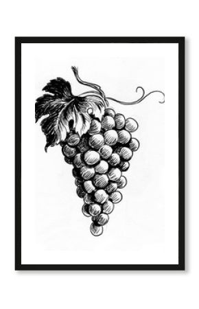 Bunch of grapes