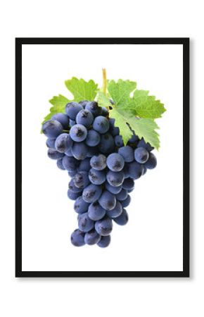 Grapes on a white background