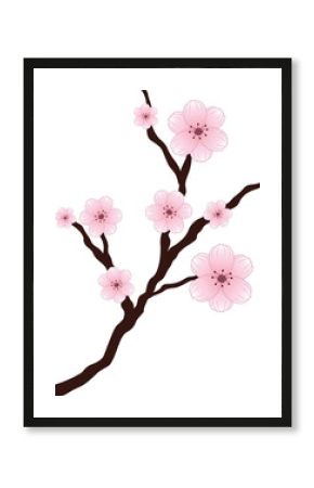 Flat illustration is showing brown branch bearing pink cherry blossoms on transparent background