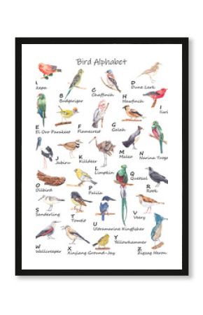 Watercolor bird alphabet Hand drawn bird for each letter of English alphabet Educational poster Nursery wall art decor Playroom poster With Exotic birds