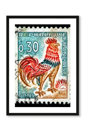 France with the image of the Gallic Cock, Gallus gallus domesticus