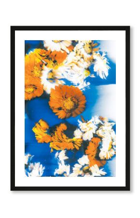 Swirls- organic, floral background