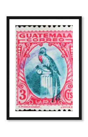 Quetzal bird on old postage stamp of Guatemala