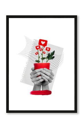 Poster image collage of woman arms fingers hold ug growing flowers social media like isolated on drawing background