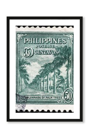 Tropical palm trees on vintage stamp of Philippines