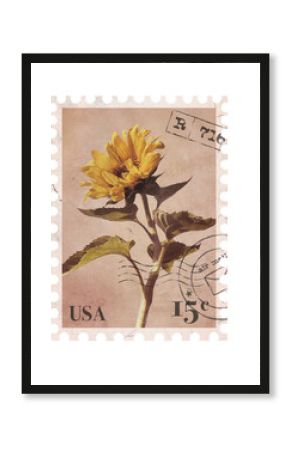 Floral vintage Postage Stamp. Retro Printable post stamp with Sunflower. Aesthetic cutout Scrapbooking elements for wedding invitations, notebooks, journals, greeting cards, wrapping paper