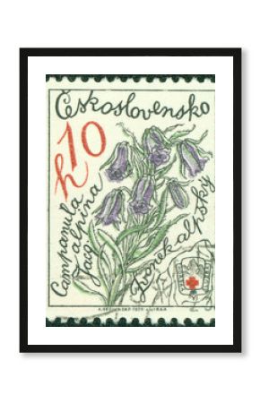 Stamp shows image of a Alpine Bellflowers