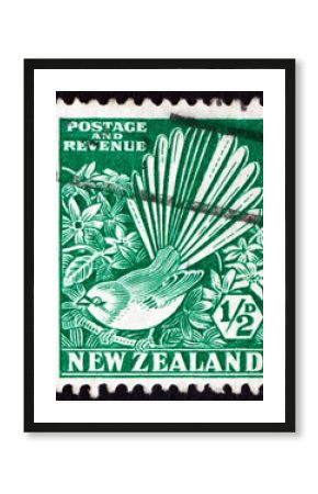 Postage stamp New Zealand 1935 Pied Fantail and Clematis