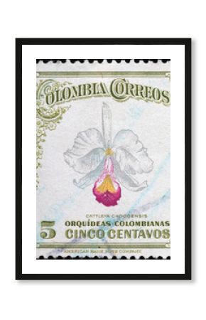 Beautiful colombian orchid on vintage postage stamp
