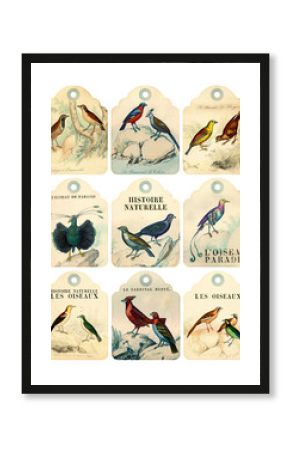 9 vintage birds labels