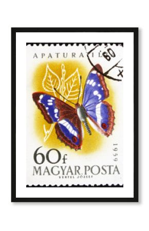 Postage stamp Hungary 1959 Leser Purple Emperor, Apatura Ilia, B