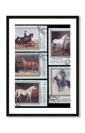 horses