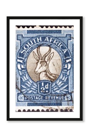 Springbok on vintage south african postage stamp
