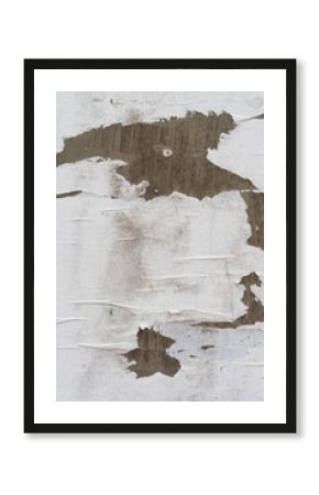 A peeled, ripped white paper poster texture on a wall