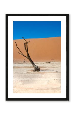 road trip namibia game farm and namib desert