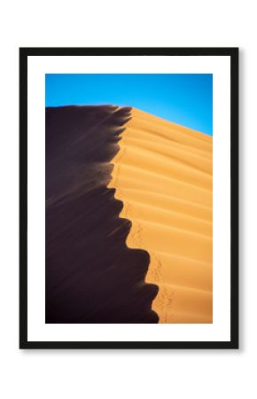 road trip namibia game farm and namib desert