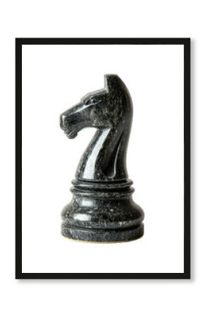 Isolated Black Marble Knight Chess Piece