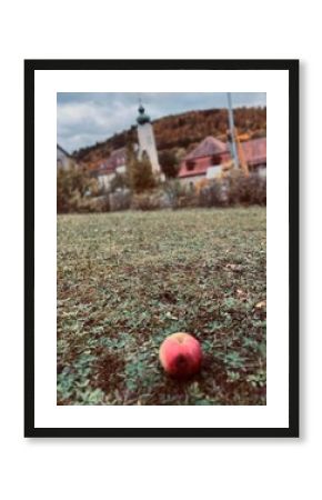 Roter Apfel auf Obstwiese im Herbst 