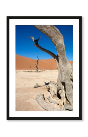 road trip namibia game farm and namib desert